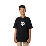 498be1c8cc18321c67417dae4b814f22