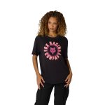 869dd4e267916e826cc4e5f1c6f235fc